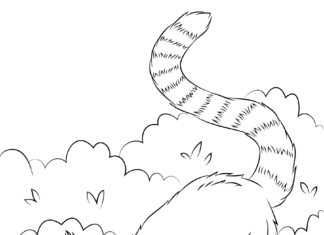 lemur on a walk coloring picture printable