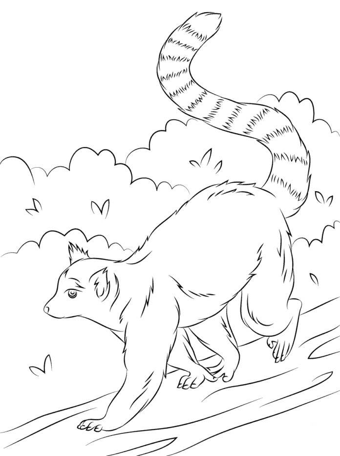 lemur on a walk coloring picture printable