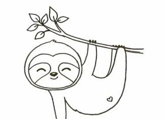 Smiling sloth coloring book to print