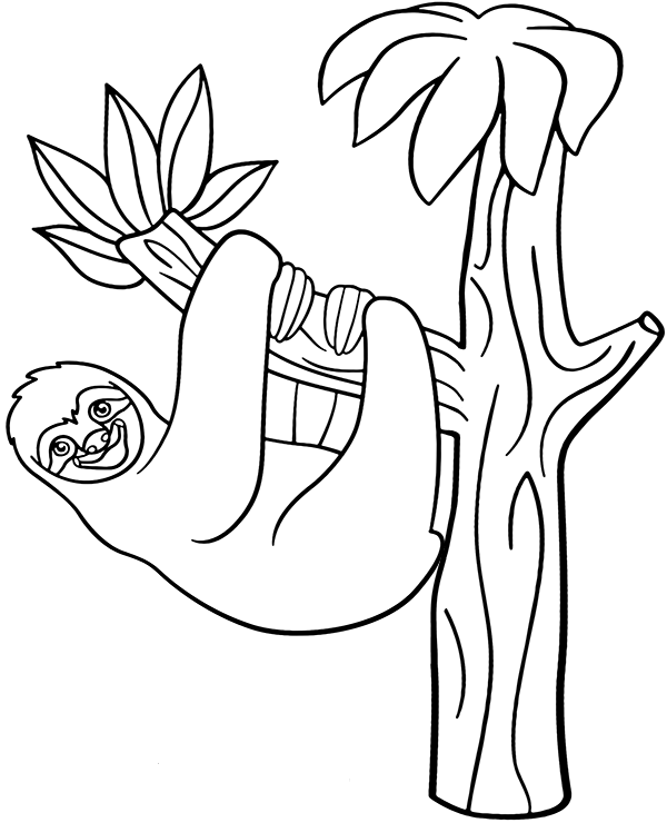 Hanging sloth coloring book to print
