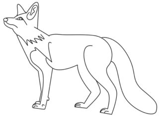Fox on the hunt coloring book to print