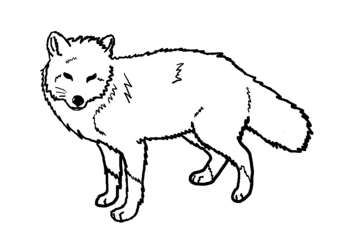 Fox coloring book to print