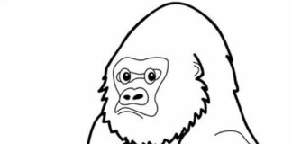 Stor gorilla som kan skrivas ut och färgläggas