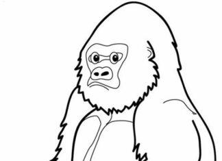 Large gorilla coloring book to print