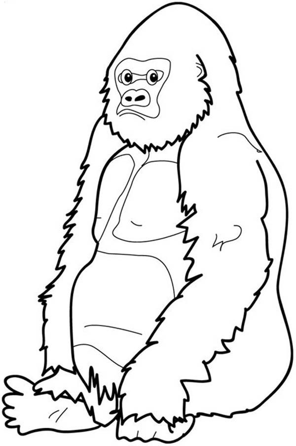 Stor gorilla som kan skrivas ut och färgläggas