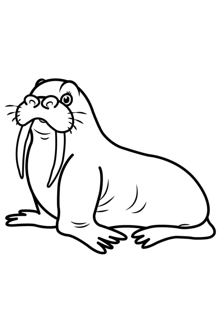 Large walrus coloring book to print