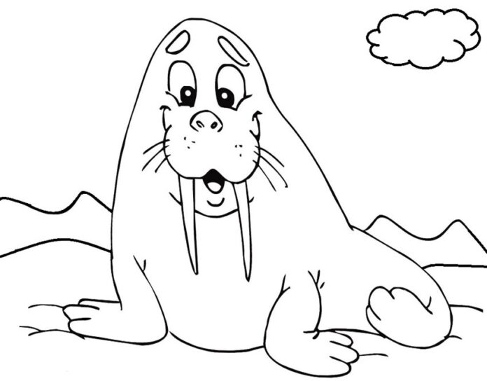 Smiling walrus coloring book to print