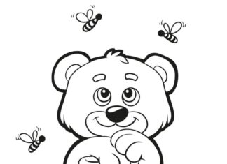 Bear and honey coloring book to print