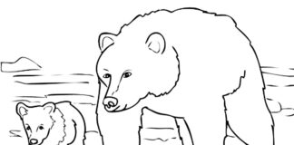 Färgbok om vandrande björnar att skriva ut