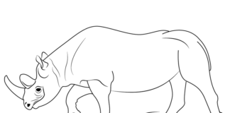 Chodící nosorožec omalovánky k vytisknutí