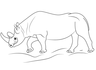 Walking rhino coloring book to print