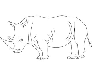 White rhinoceros coloring book to print