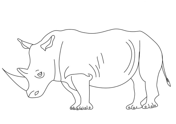 Livro colorido de rinoceronte branco para imprimir