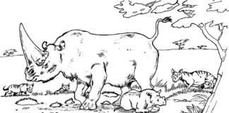 Dzielny nosorożec kolorowanka dodrukowania