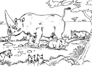 Dzielny nosorożec kolorowanka dodrukowania