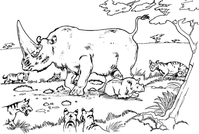 Livre de coloriage du rhinocéros courageux