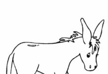 Livre de coloriage à imprimer sur l'âne