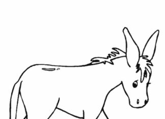Donkey coloring book to print