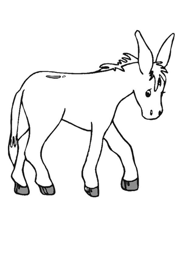 Donkey coloring book to print