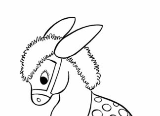 Livro para colorir burros sentados para imprimir