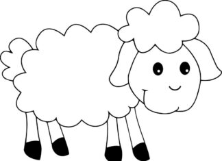 Young sheep coloring book to print