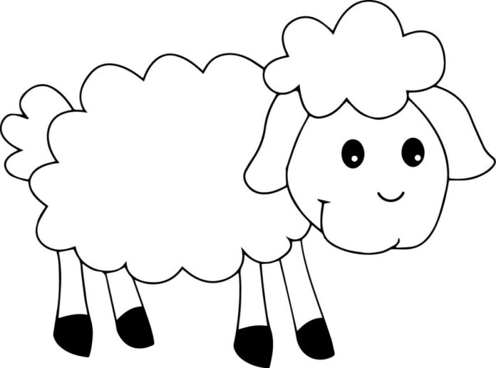 Young sheep coloring book to print