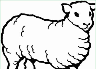 Home sheep coloring book to print