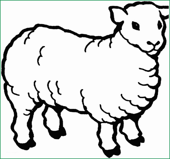 Kotieläinten lampaat tulostettava värityskirja