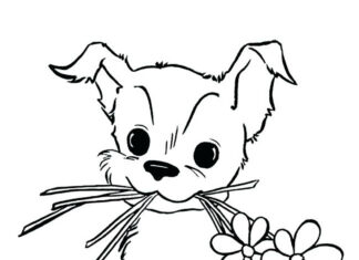 Dog with flowers coloring book to print