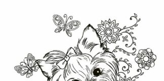 York terrier coloring book to print