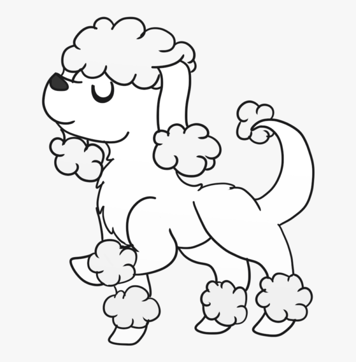 Poodle dog coloring book to print