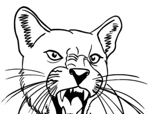 Dangerous cougar coloring book to print
