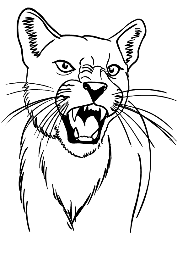 Dangerous cougar coloring book to print