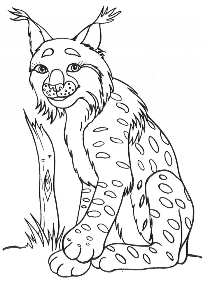 Large lynx coloring book to print