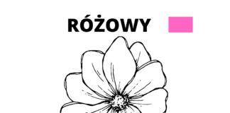 RÓŻOWY kolorowanka do drukowania