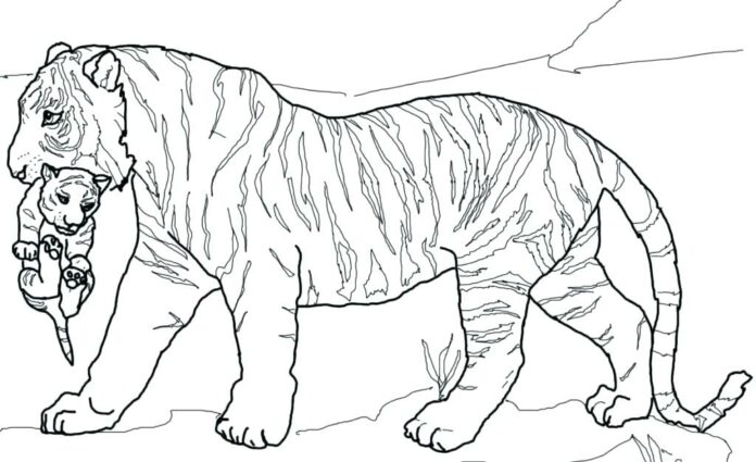 Tiger med sin mamma - färgbok som kan skrivas ut