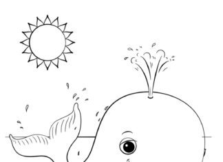 Whale on the waves coloring book to print