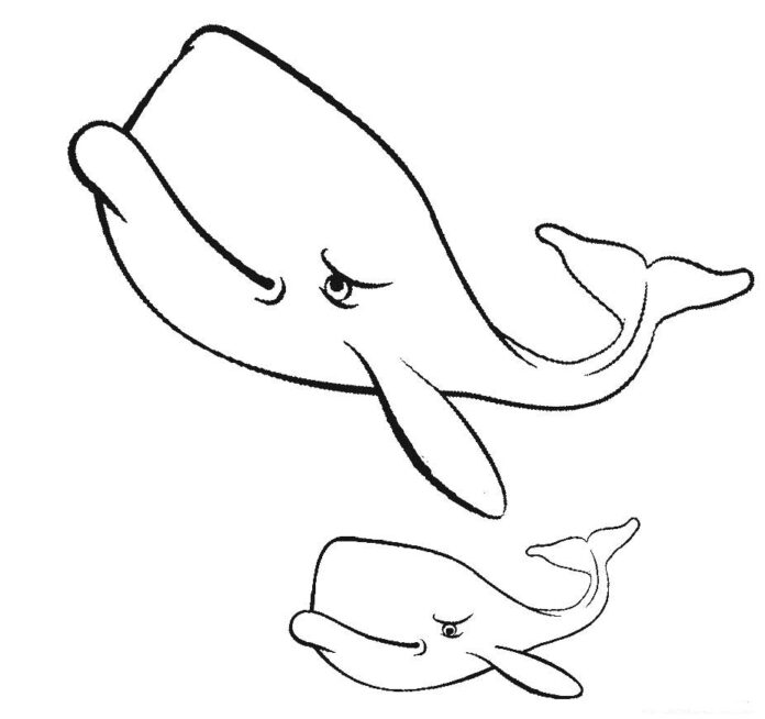 wieloryb kolorowanka obrazek do druku