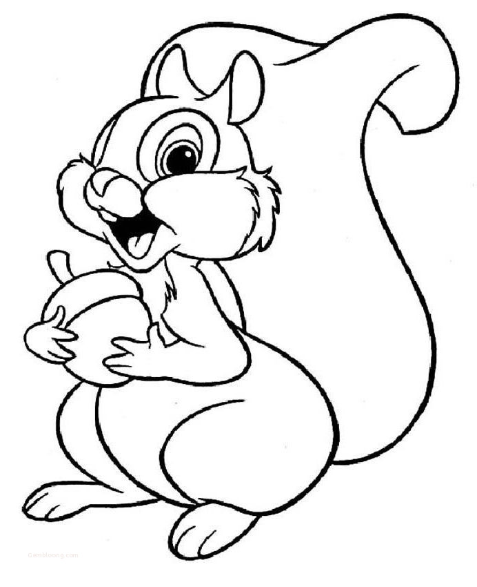 squirrel coloring book picture to print