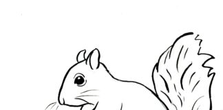 egern malebog til farvelægning til udskrivning billede