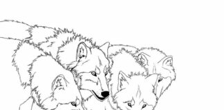 Pack of wolves coloring book to print