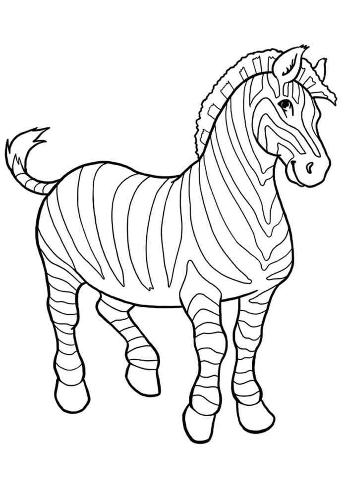 zebra színező könyv nyomtatható kép
