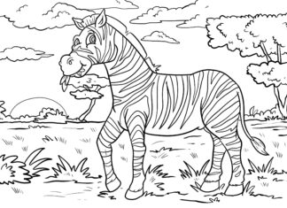zebra färbung buch druckbares bild