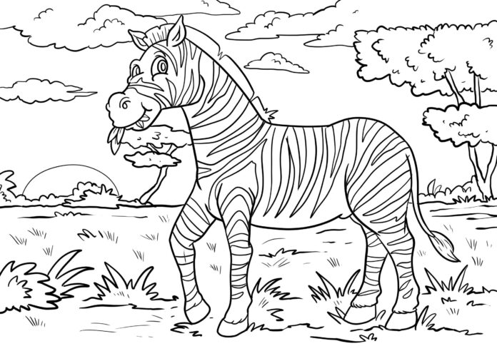 zebra coloring book printable picture