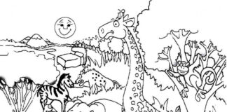 Jungle animals coloring book to print