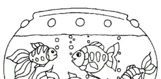 aquarium for kids coloring book to print