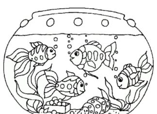 aquarium for kids coloring book to print