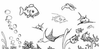 aquarium full of fish coloring book to print