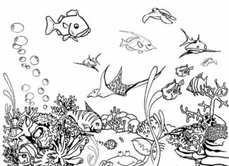 Akvárium plné rýb na vyfarbenie k vytlačeniu