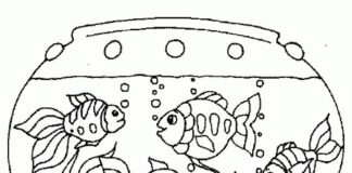 aquarium with fish coloring book to print